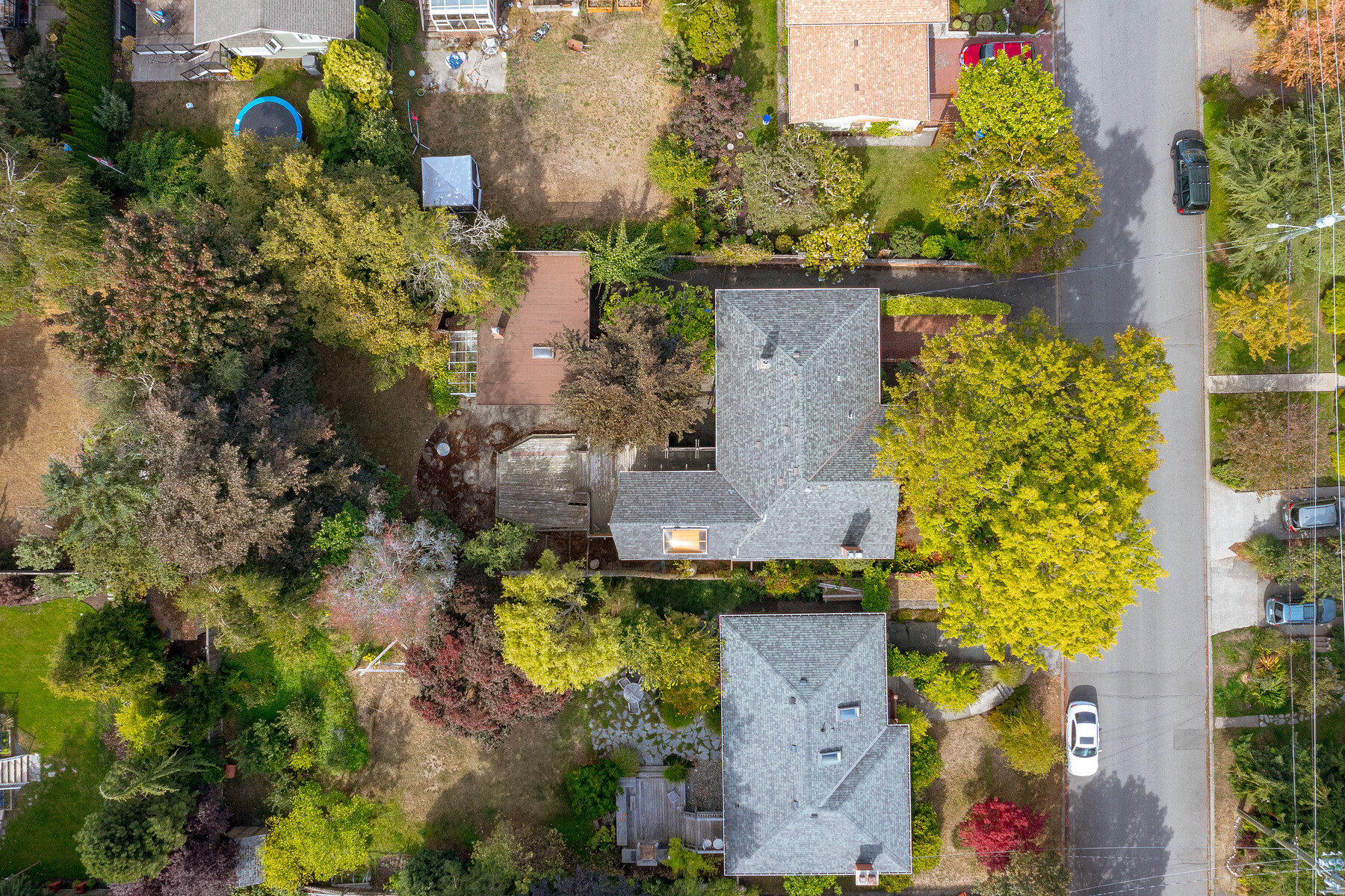 960 Falkland Rd Multimedia Showcase