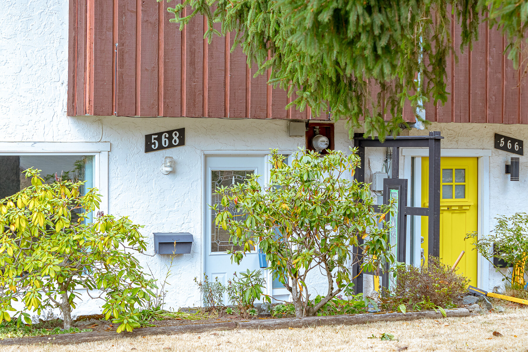 568 Phelps Ave Multimedia Showcase