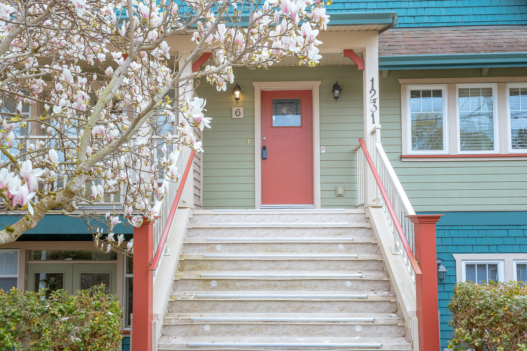 61231 McKenzie St Multimedia Showcase