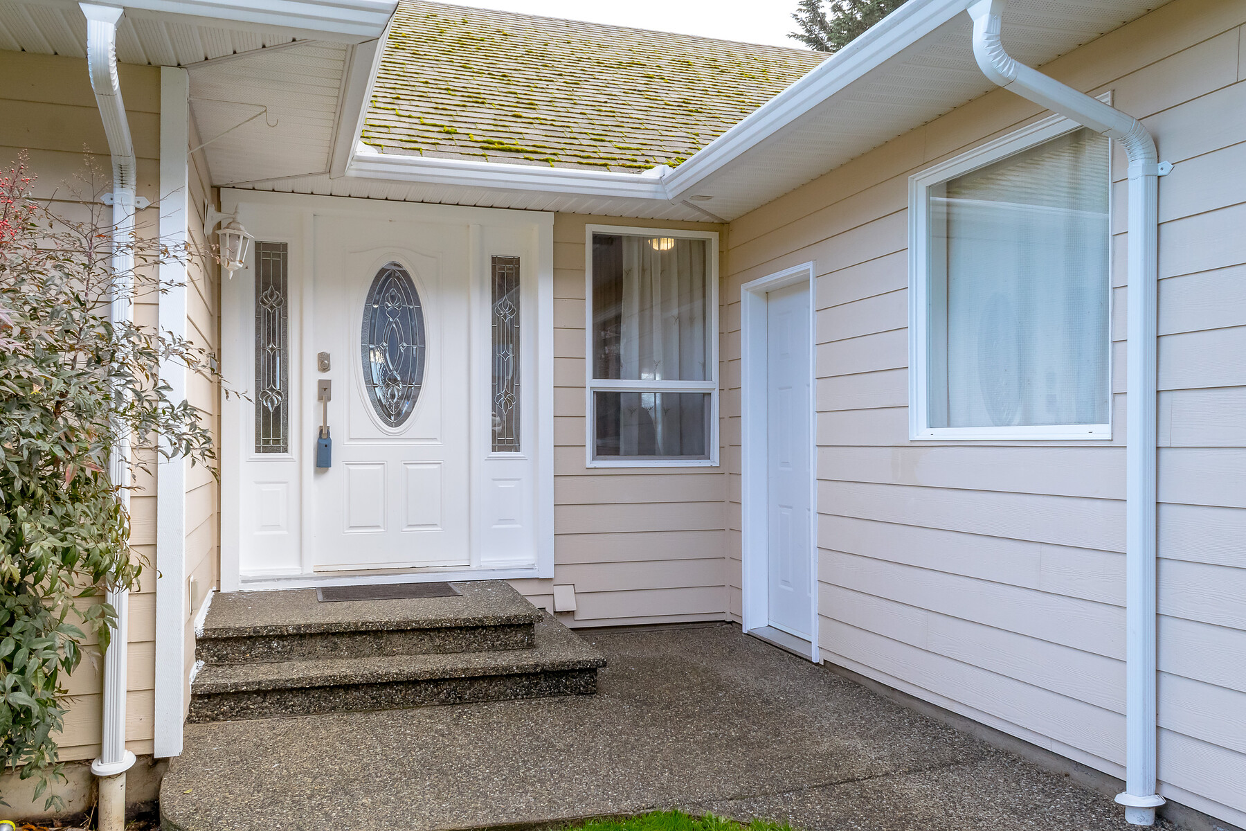 8031 Musgrave St Multimedia Showcase